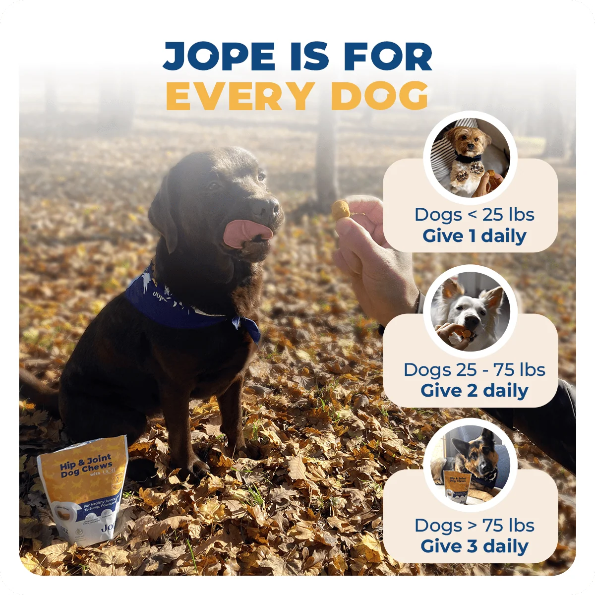 Jope Hip & Joint DogChews - 60 Count