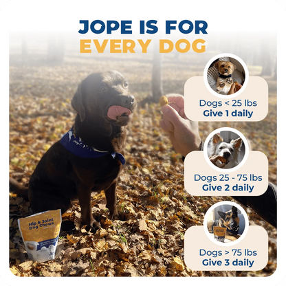 Jope Hip & Joint DogChews - 60 Count